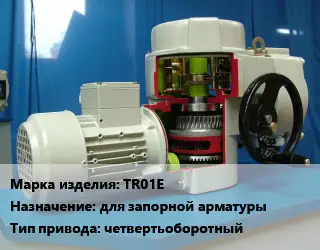 Электропривод TR01E для запорной арматуры четвертьоборотный